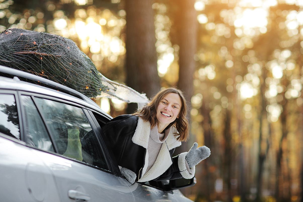 Frau mit Christbaum und Auto