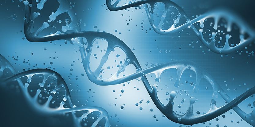 Stammzellen DNA