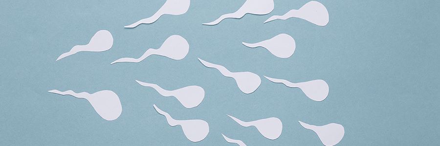 Das Spermiogramm – der Fruchtbarkeitstest für Männer 